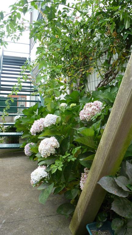 Azores Holidays House -B&B - Suites - Self Check-In Keyboard Ponta Delgada Exteriör bild